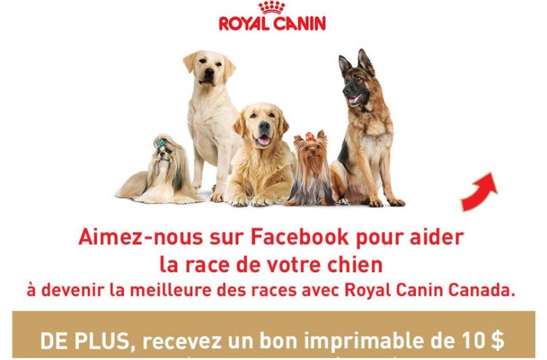 royal canin coupon rabais