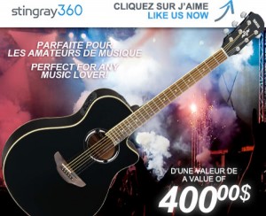guitare-stingray360