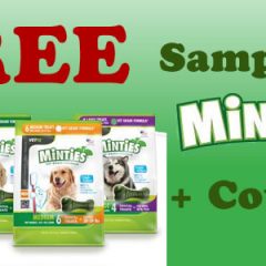 Échantillon gratuit de Minties pour votre chien !