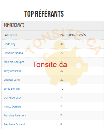 top-referers