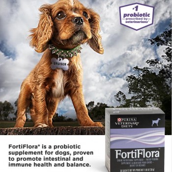 fortiflora canine hero