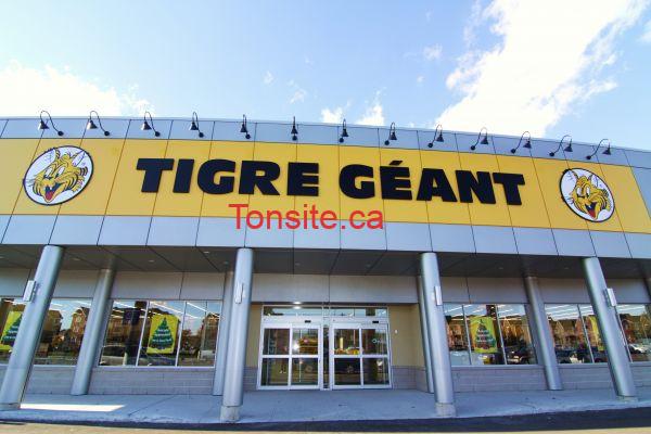 tigre-geant-en-ligne Boutique Tigre Géant en ligne est maintenant ouvert! 2021
