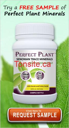 perfect plant free sample