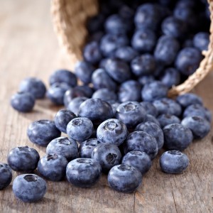 photodune  blueberries m