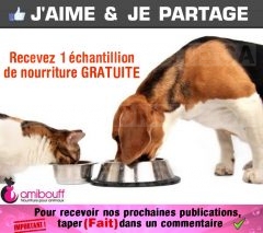 GRATUIT:  Obtenez un échantillon de nourriture GRATUITE pour votre animal de compagnie