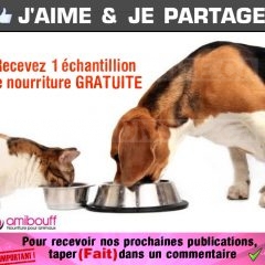 GRATUIT: Obtenez un échantillon de nourriture GRATUITE pour votre animal de compagnie