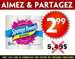 sponge towels econo