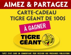 tigre geant concours