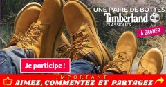 globo timberland concours