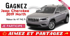 jeep concours