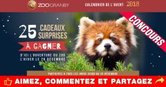 zoo granby concours calendrier