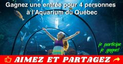 aquarium qc concours