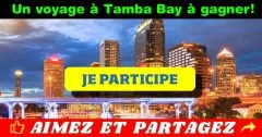 tamba bay concours