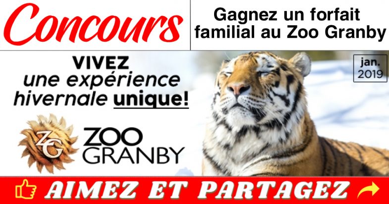 zoo granby concours hiver