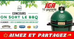 big green egg concours