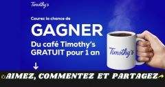 timothys concours
