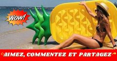 ananas gonflable concours