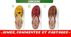 remonte concours