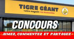 tigre geant concours off