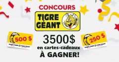 tigre geant concours