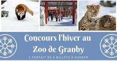 zoo granby concours