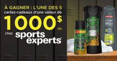 sports expert concours