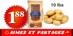 patates-188-240x120 accueil