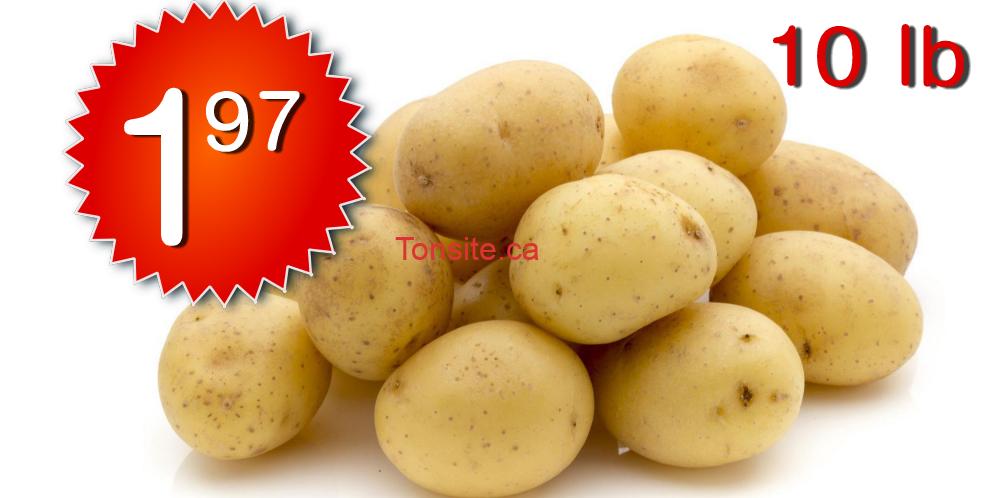 patates 197 Tonsite.ca