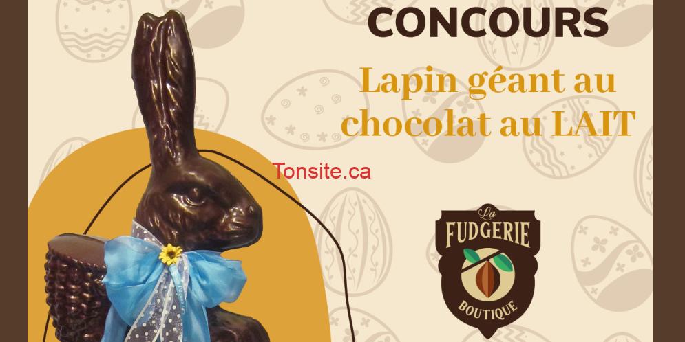 lapin chocolat concours2 Tonsite.ca