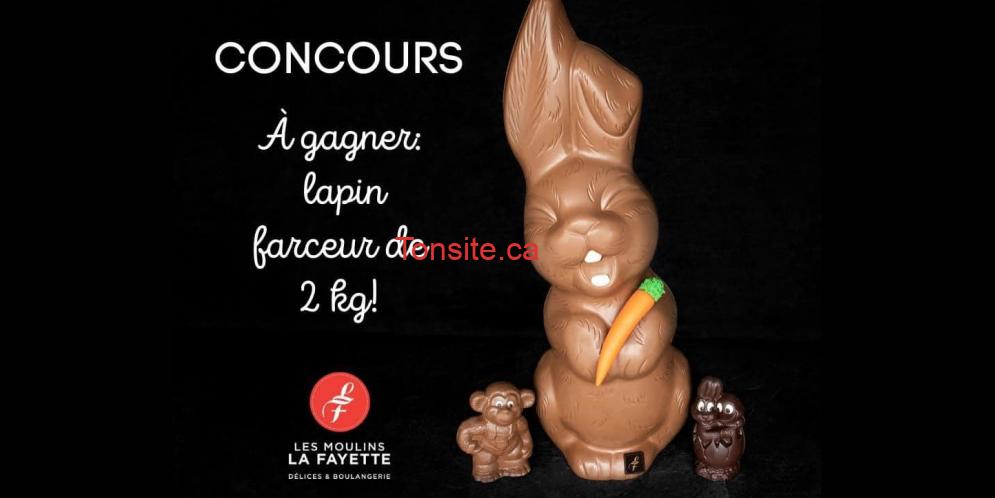lapin chocolat concours4 Tonsite.ca