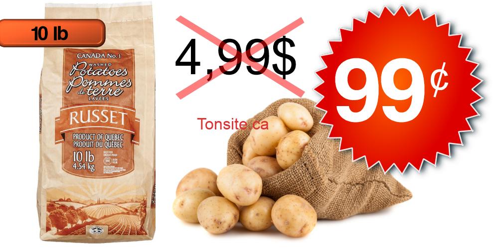 pommes de terre 99 499 Tonsite.ca
