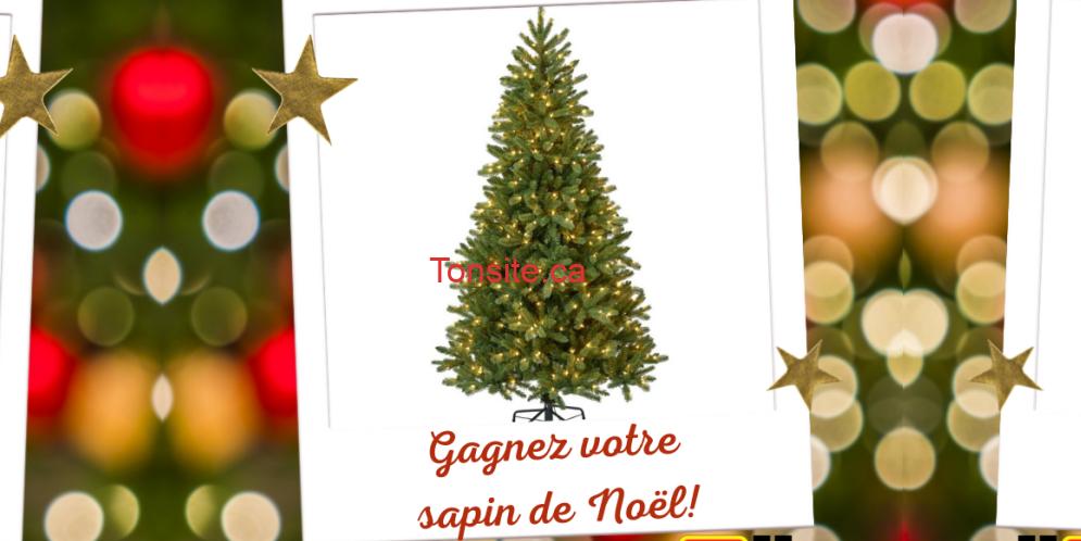 sapin 1 concours Tonsite.ca