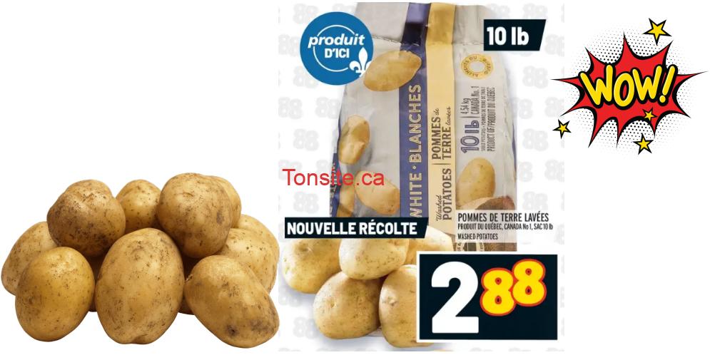 pommes de terre 288 Tonsite.ca