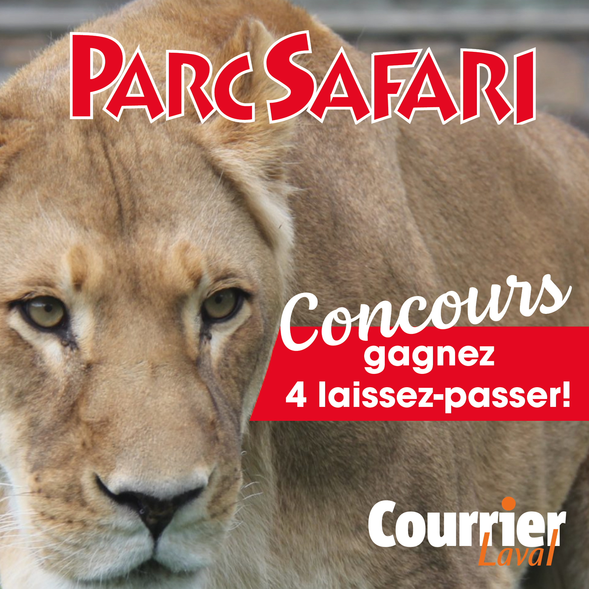 parc-safari-concours